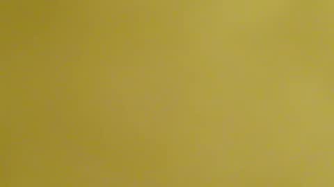 frankyb0yforeal online show from February 2026 07:28:02 AM