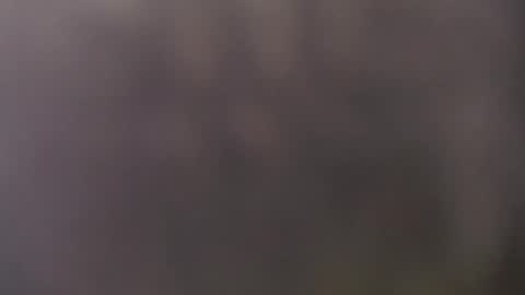 Snapshot of frasalv chatting on May 2026 10:44:01 AM francescosal online show from May 2026 10:44:01 AM