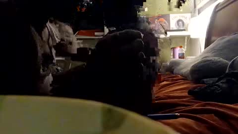 freakeazy online show from March 2026 02:39:01 AM