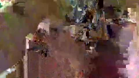 Squirrel twink online show from November 2025 03:39:01 AM