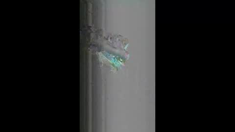 fredy621268 online show from April 2026 10:19:02 AM