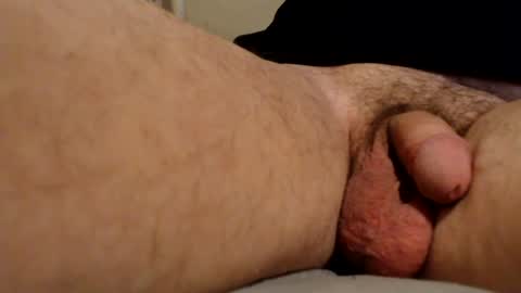 free4haul online show from July 2026 02:53:01 AM