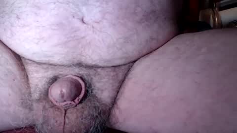 freeamos online show from December 2024 02:04:01 AM