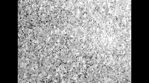 freiman_bigcockxx online show from April 2026 06:56:01 PM