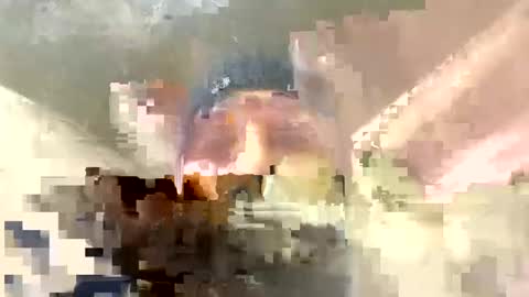 Horny french hard online show from December 2024 12:34:01 AM