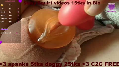 Meadow online show from November 2025 02:42:02 PM