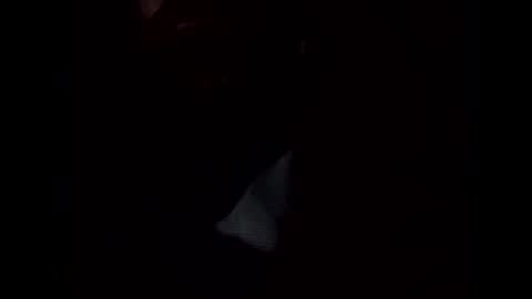 Snapshot of frickish chatting on January 2025 11:21:02 PM Frickish online show from January 2025 11:21:02 PM