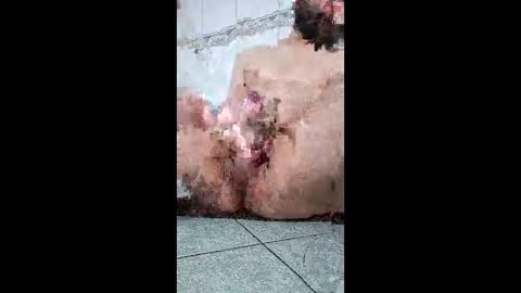 friendshipplus online show from February 2026 07:40:01 AM