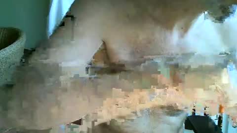 frisco69 online show from April 2026 11:04:01 AM