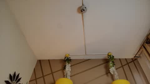 frreeya online show from March 2026 08:47:02 PM