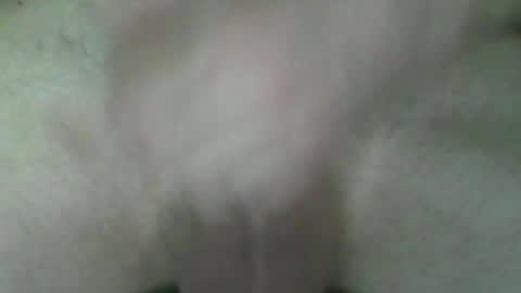 Snapshot of fryboxxxxx chatting on July 2026 05:41:02 PM fry online show from July 2026 05:41:02 PM