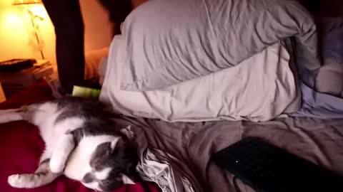 fuckmypussyplz1 online show from February 2025 12:47:02 AM