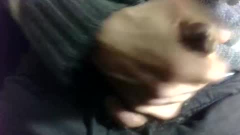 Snapshot of fuckyourbaby69 chatting on January 2025 08:24:01 PM tugatito online show from January 2025 08:24:01 PM