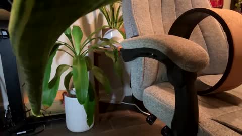 fuklicious online show from January 2025 03:39:02 AM