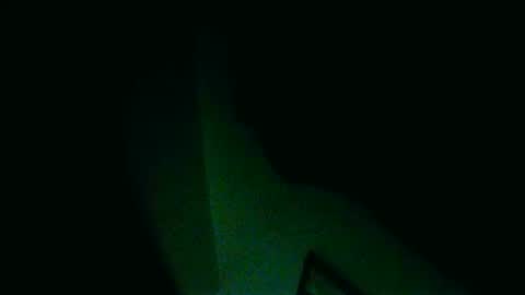 Snapshot of fultonstreet196860 chatting on December 2024 06:42:02 AM fultonstreet196860 online show from December 2024 06:42:02 AM