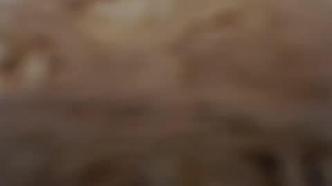 funcat01 online show from February 2026 03:04:01 AM