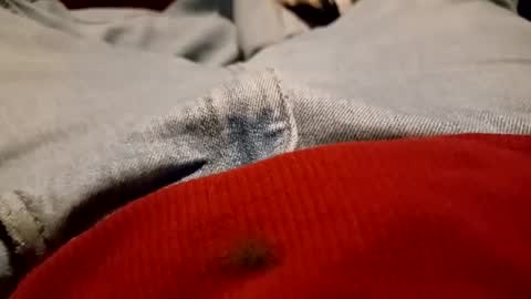 funncountry online show from December 2024 04:01:01 AM