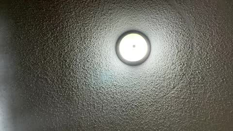 furburgermuncher89 online show from February 2025 11:24:02 PM