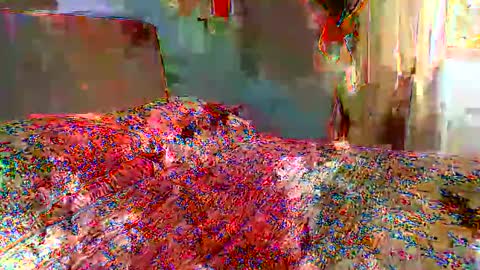 gaby  layla online show from January 2026 02:52:02 PM