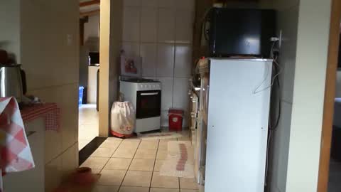 gaby  layla online show from February 2026 02:27:01 PM