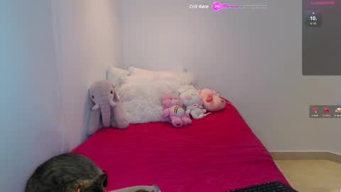 .  online show from February 2026 04:11:01 AM