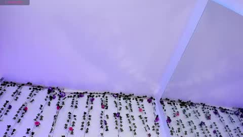 Snapshot of gaby_mason chatting on February 2025 01:14:01 PM Gaby online show from February 2025 01:14:01 PM