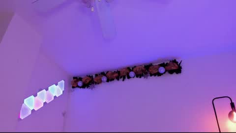 Gaia online show from December 2024 03:08:01 AM