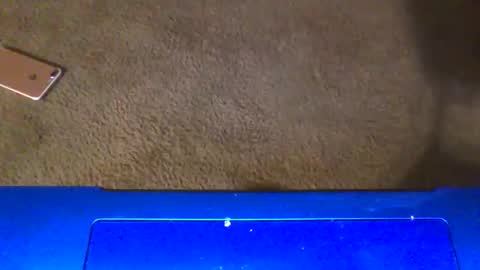 gangdrewski online show from March 2026 04:53:02 AM