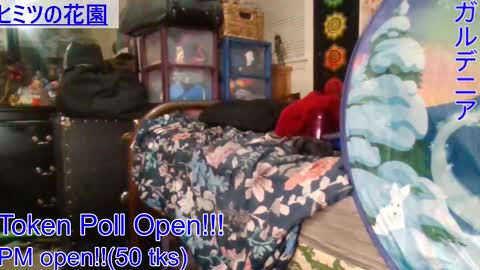 Gardenia online show from January 2025 06:35:02 AM