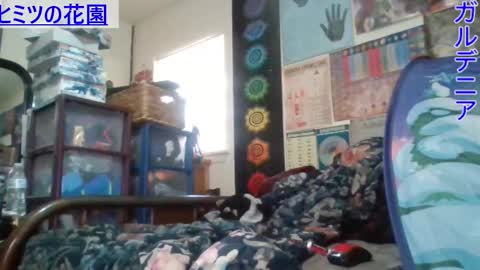 Gardenia online show from February 2025 09:48:01 PM