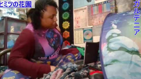 Gardenia online show from March 2025 09:03:02 AM