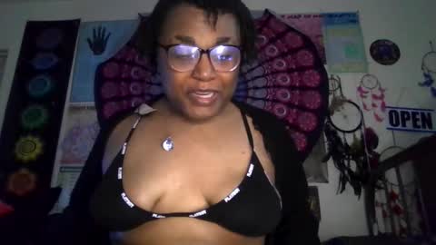 Gardenia online show from March 2026 08:40:01 AM