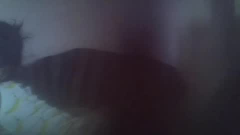 gasielah online show from January 2025 01:19:02 PM