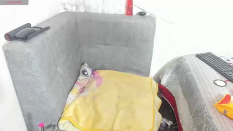 gatalu online show from October 2025 08:00:02 AM