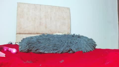 gatita13333321 online show from January 2025 05:56:01 AM