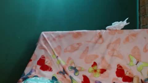 Snapshot of gatita_1997 chatting on November 2025 09:52:01 AM estrella online show from November 2025 09:52:01 AM