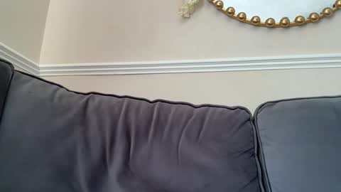 gemmaxox1 online show from June 2026 09:41:01 AM