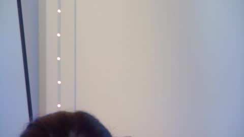 Snapshot of gentlerossi chatting on October 2025 04:02:01 PM GentleRossi online show from October 2025 04:02:01 PM