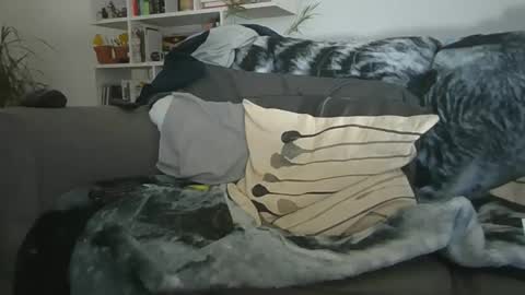 Geon online show from December 2025 11:28:02 AM