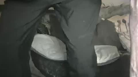 Geon online show from February 2026 11:14:02 PM