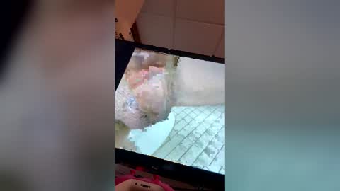 georgewithahj online show from April 2026 12:58:02 AM