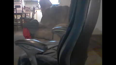 gerabo online show from March 2025 04:05:02 AM