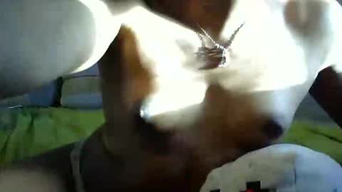 ghastgirlt_t online show from October 2025 10:10:01 PM