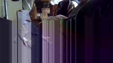 Corrado online show from January 2026 10:19:02 AM