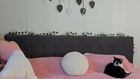 Gin online show from March 2026 06:28:02 AM