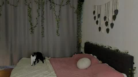 Gin online show from May 2026 06:43:02 AM