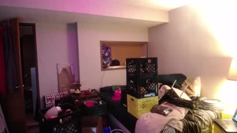 ginger_binj online show from October 2025 06:00:01 AM