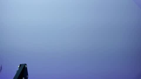 Kendall online show from December 2025 01:04:02 PM