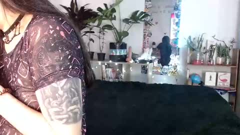 Nice to meet you my name is Heyli  online show from December 2024 02:31:01 AM