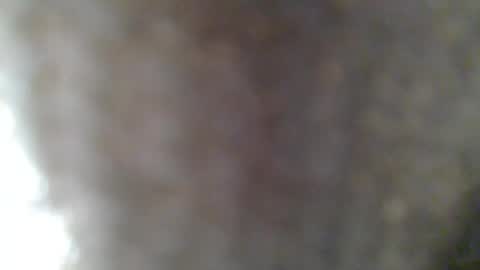 e-Bizl online show from February 2025 07:31:02 AM